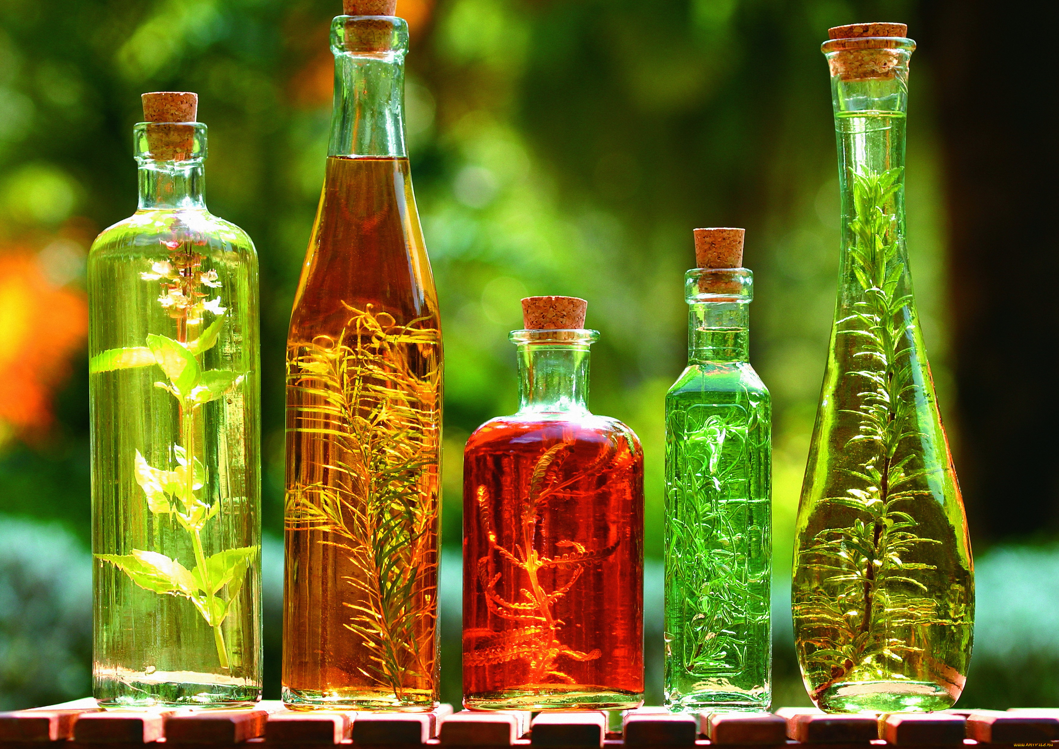 Растительное масло для здоровья. Экстракты растений. Экстракты из растений. Красивые бутылки. Бутылки для настоек.